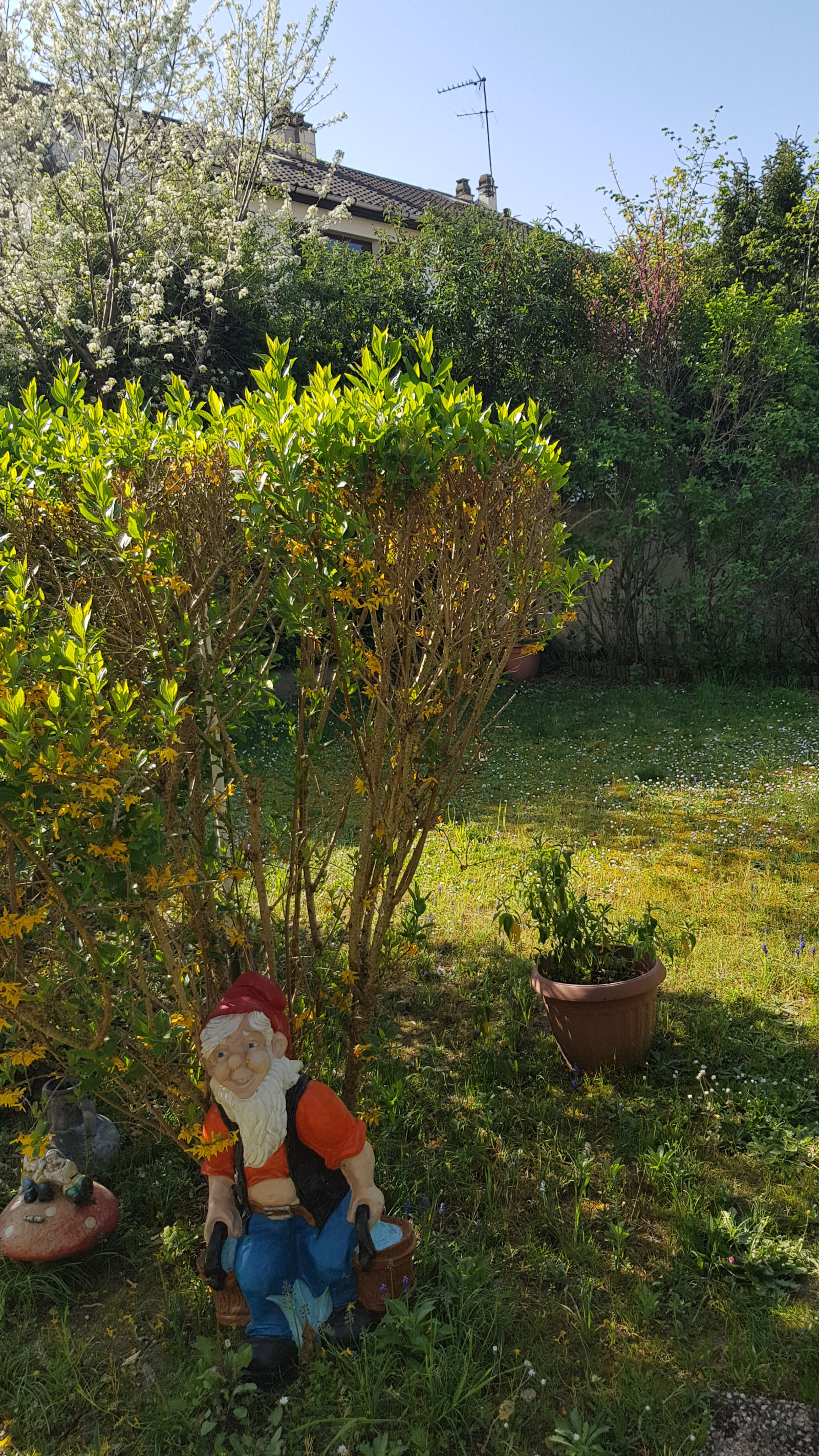 Image_10, Maison, Rueil-Malmaison, ref :9272