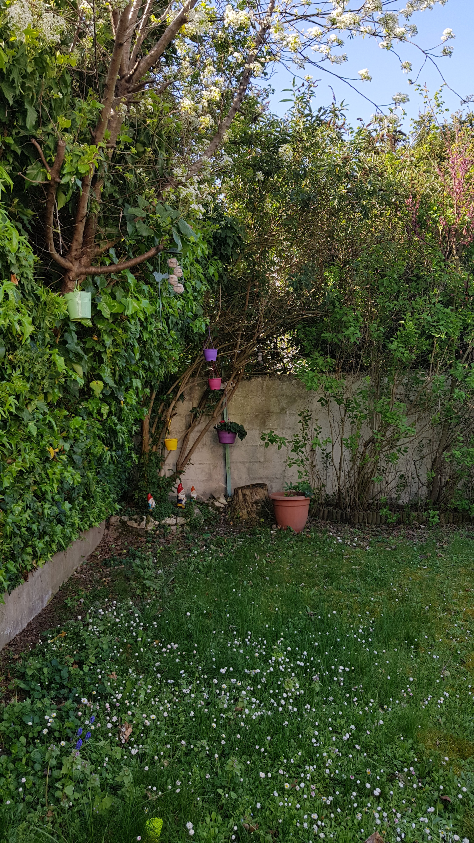 Image_11, Maison, Rueil-Malmaison, ref :9272