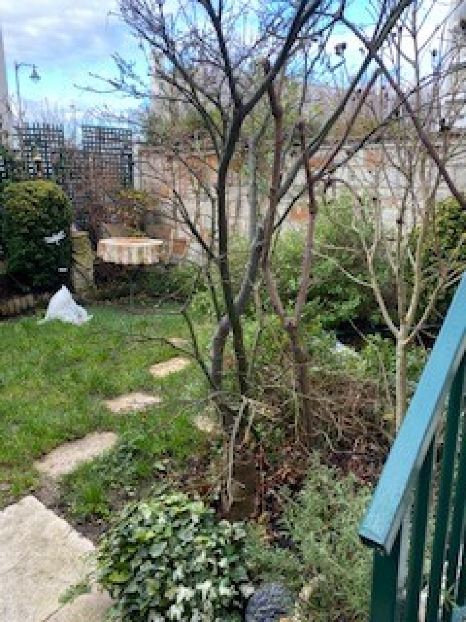 Image_2, Maison, Rueil-Malmaison, ref :9290