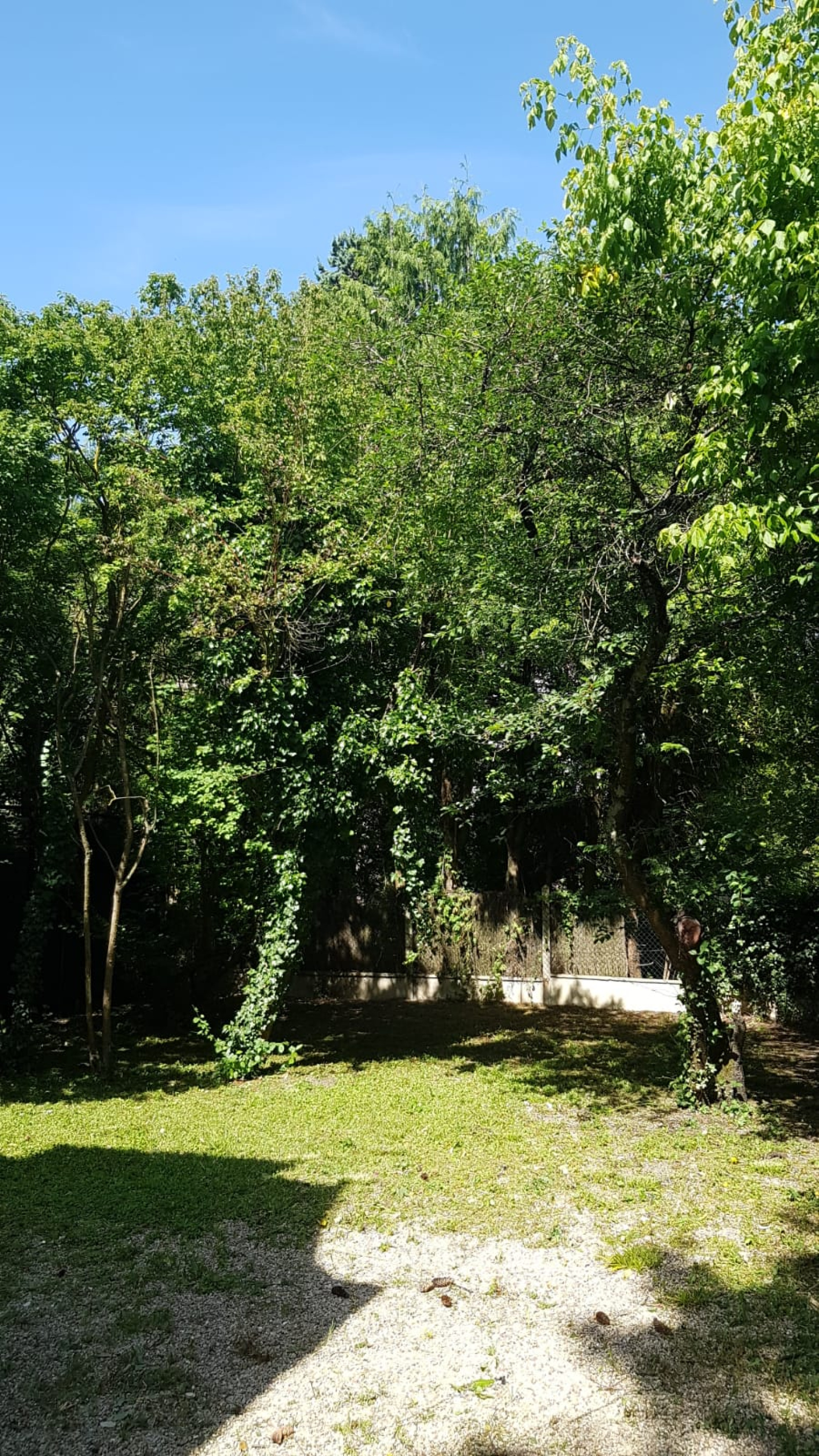 Image_9, Maison, Rueil-Malmaison, ref :9321