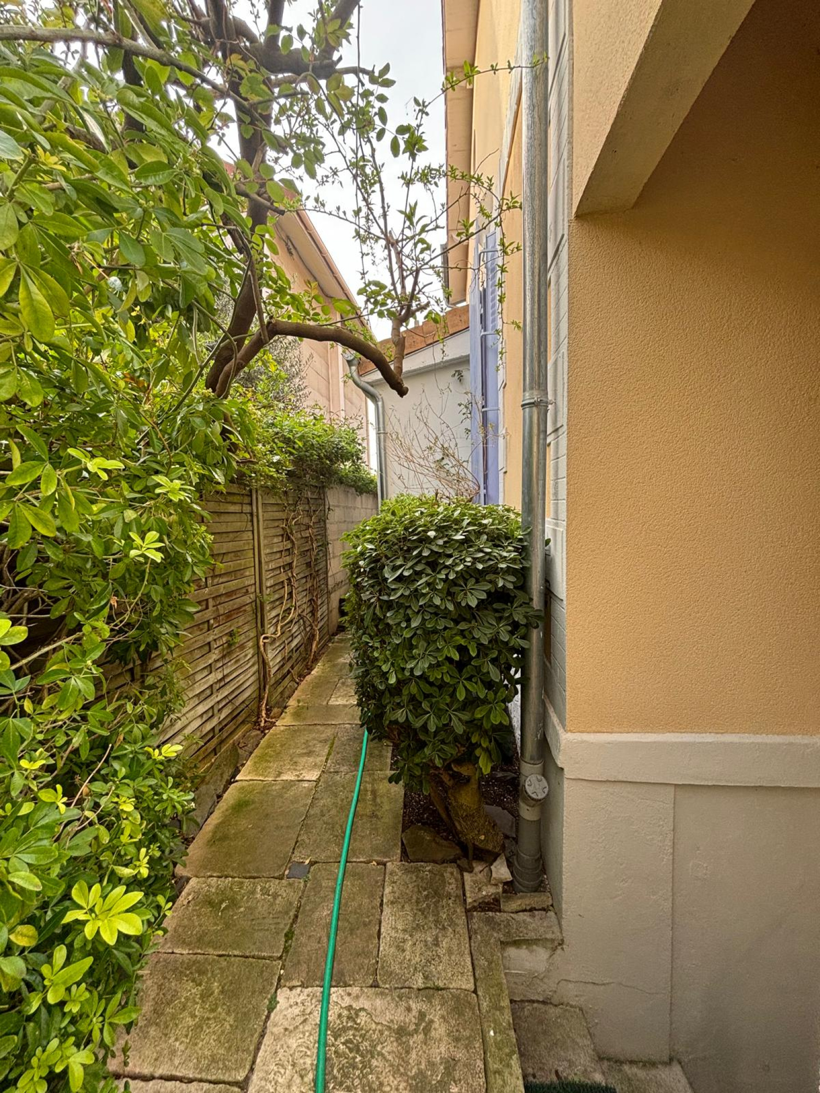 Image_9, Maison, Rueil-Malmaison, ref :9290