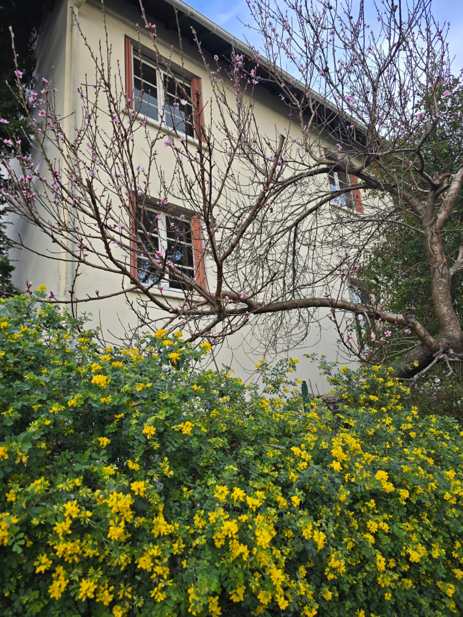 Image_9, Maison, Rueil-Malmaison, ref :9335