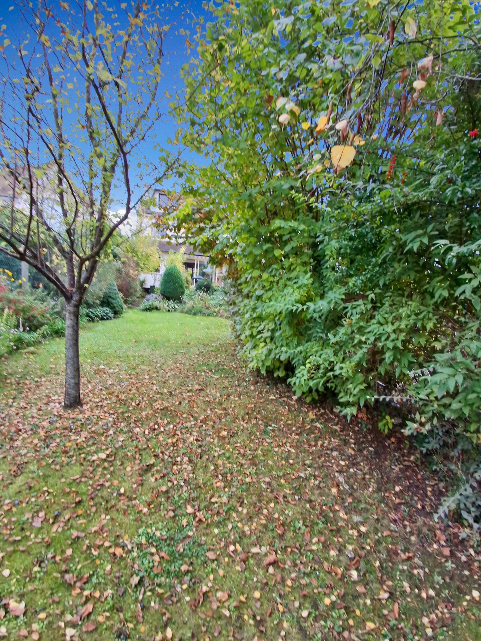 Image_3, Maison, Rueil-Malmaison, ref :9300